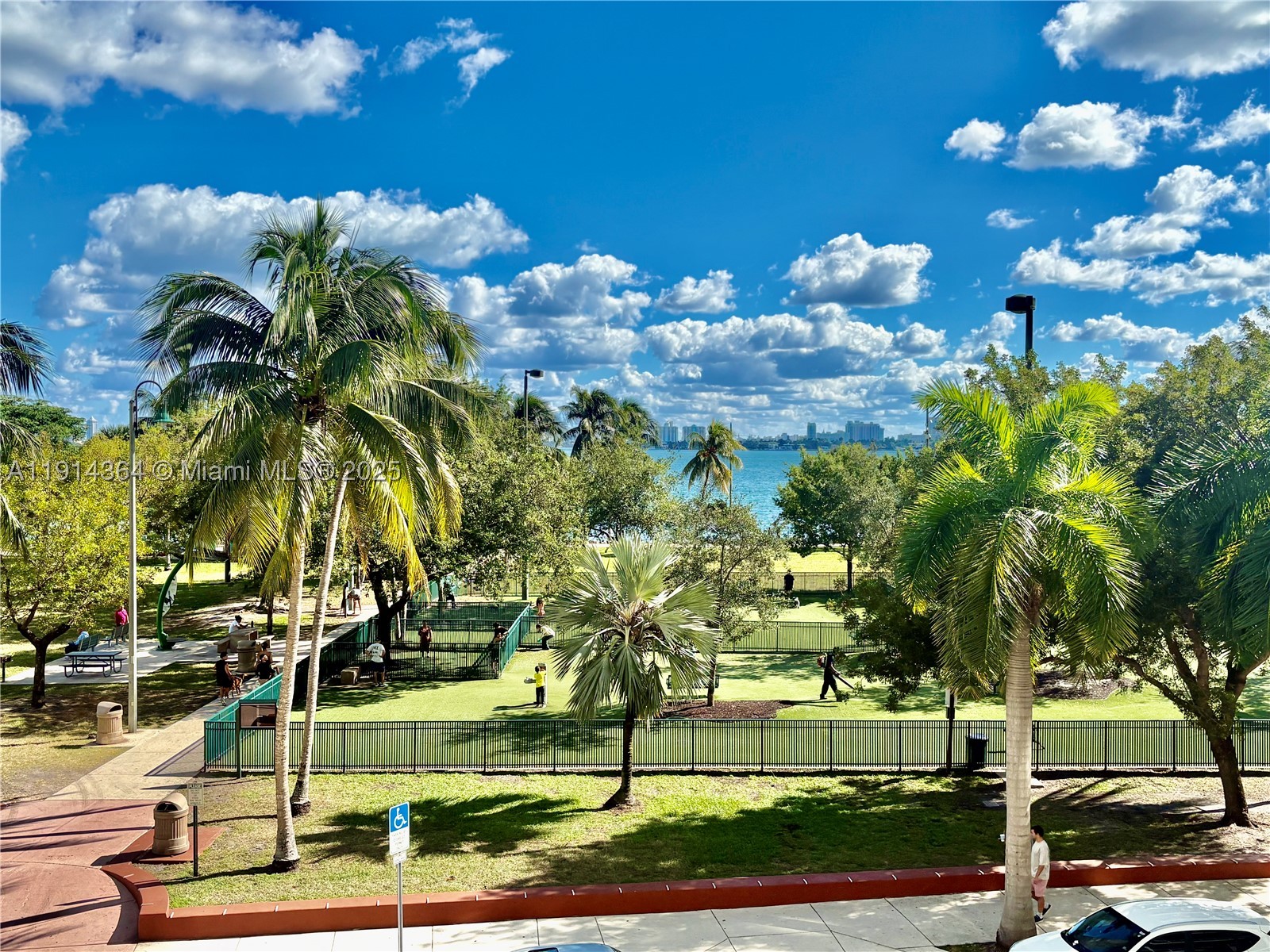 Miami photo 5