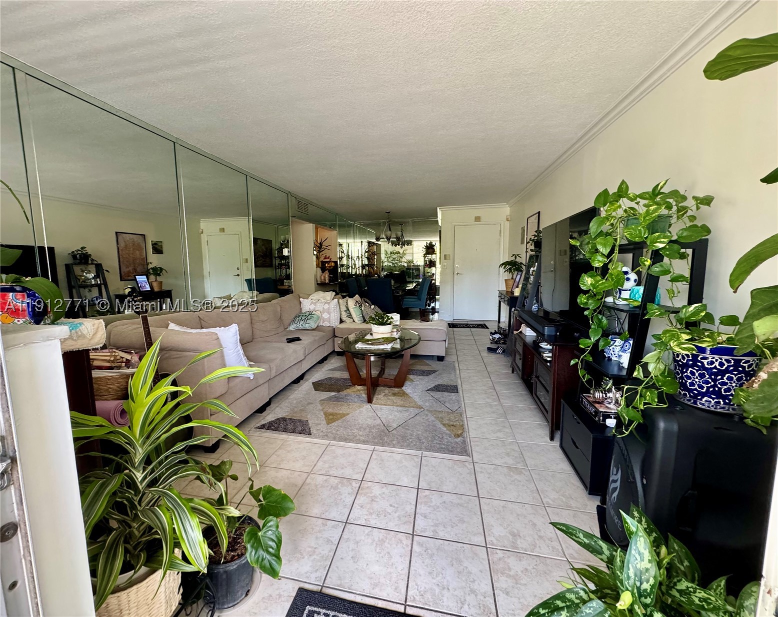 North Miami Beach photo 1