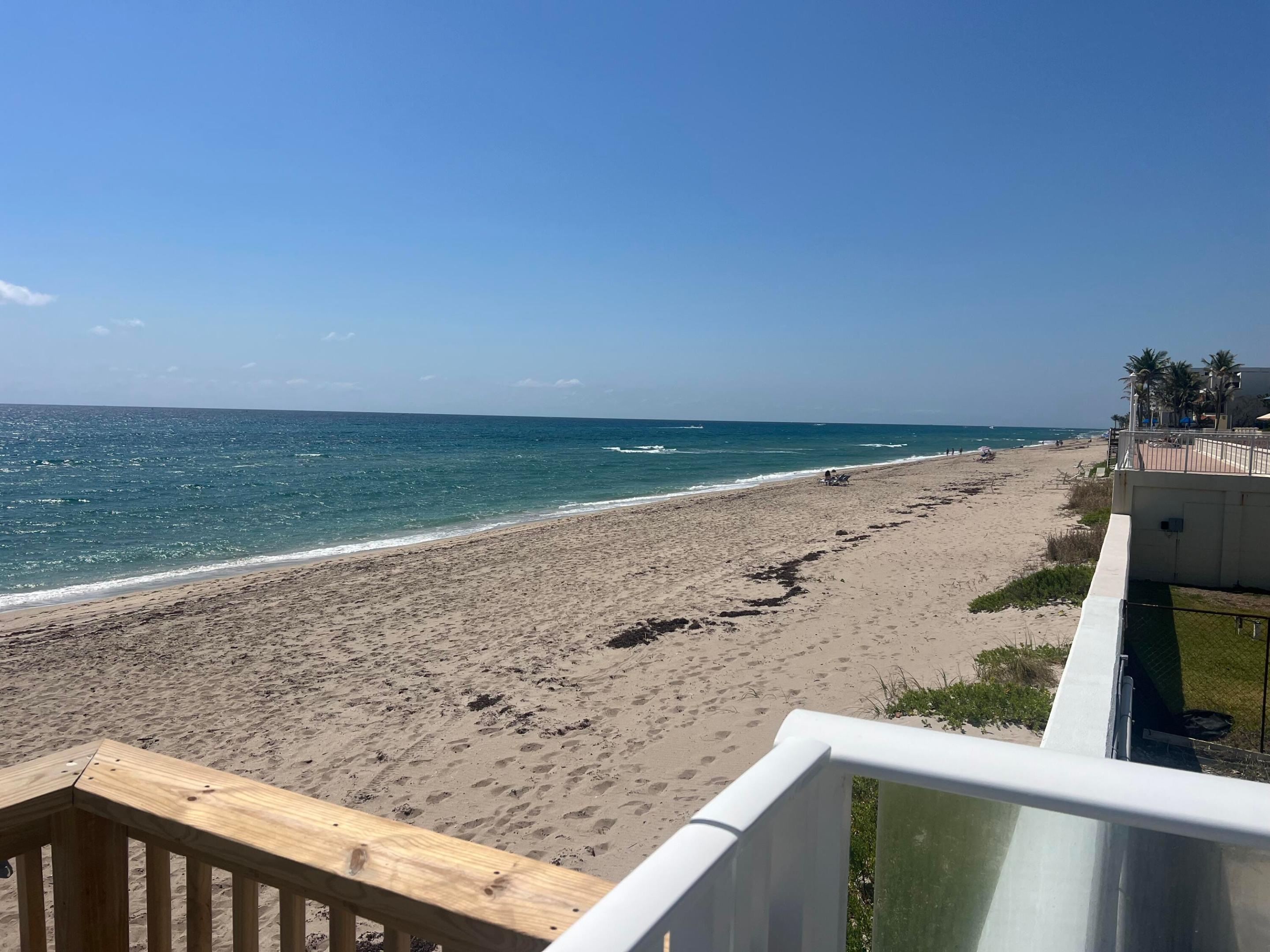 Palm Beach photo 3