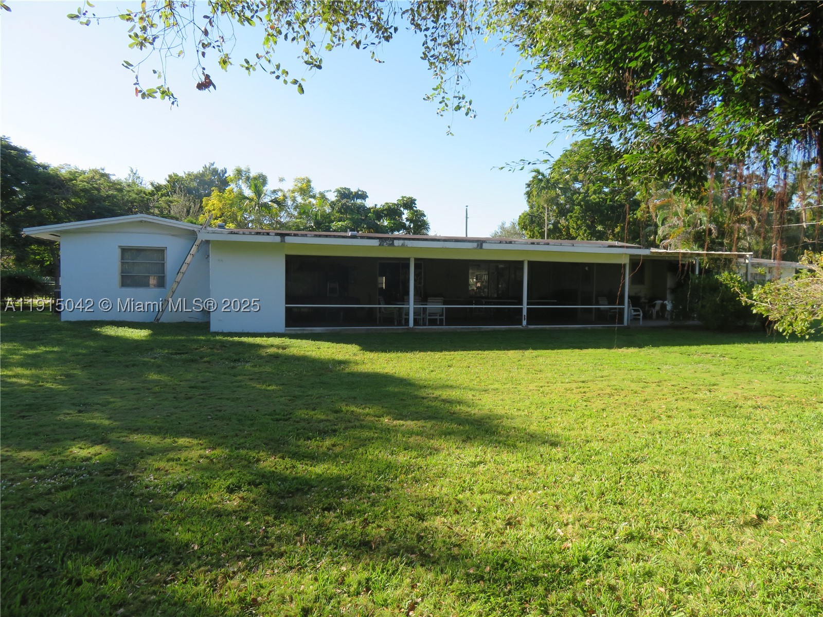 Pinecrest photo 4