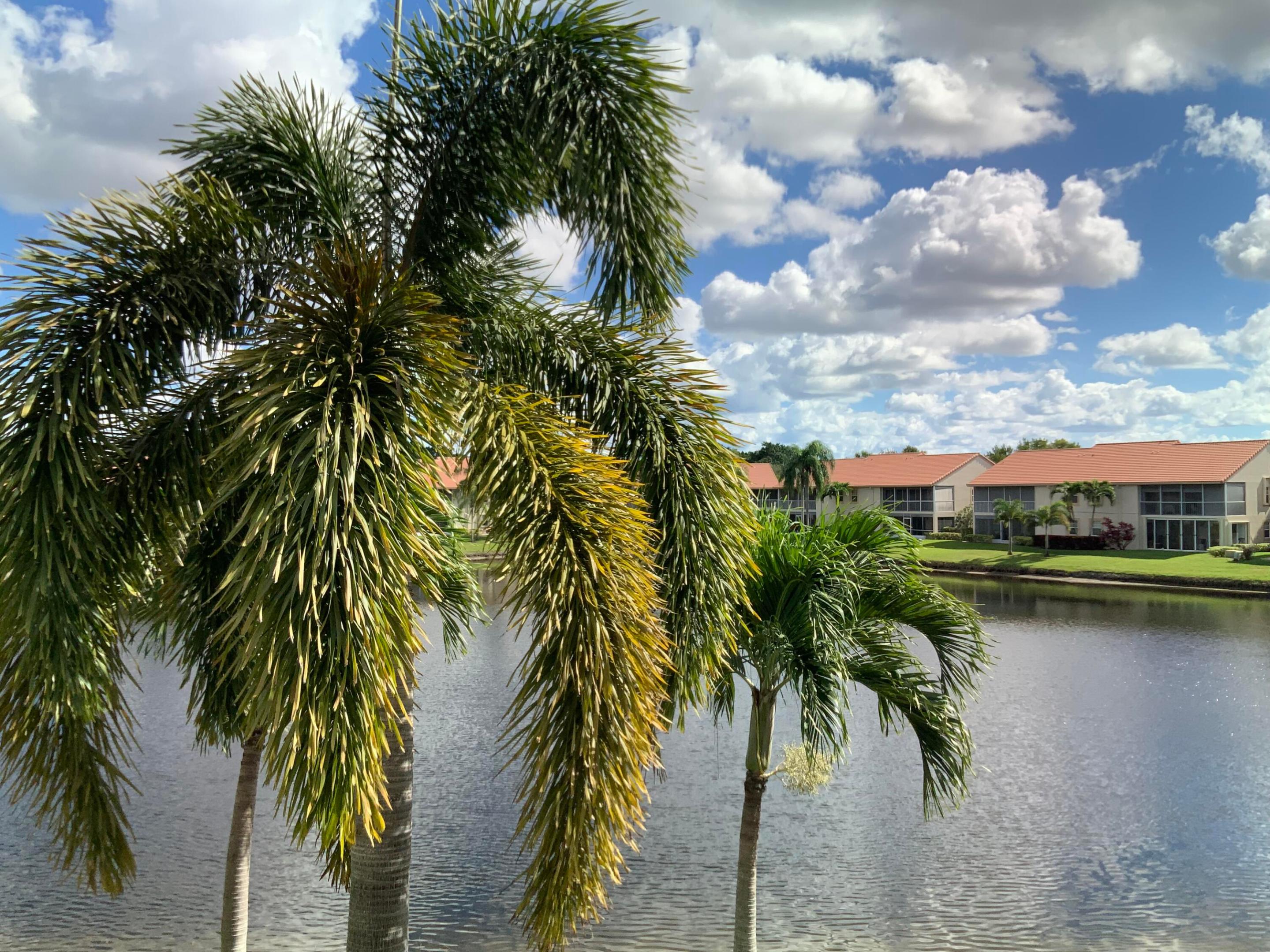 Delray Beach photo 1