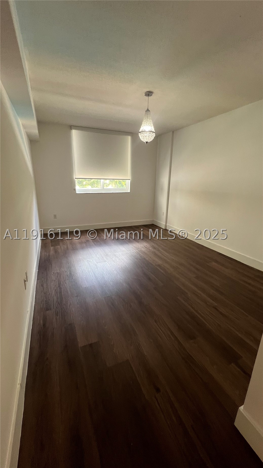 Aventura photo 4
