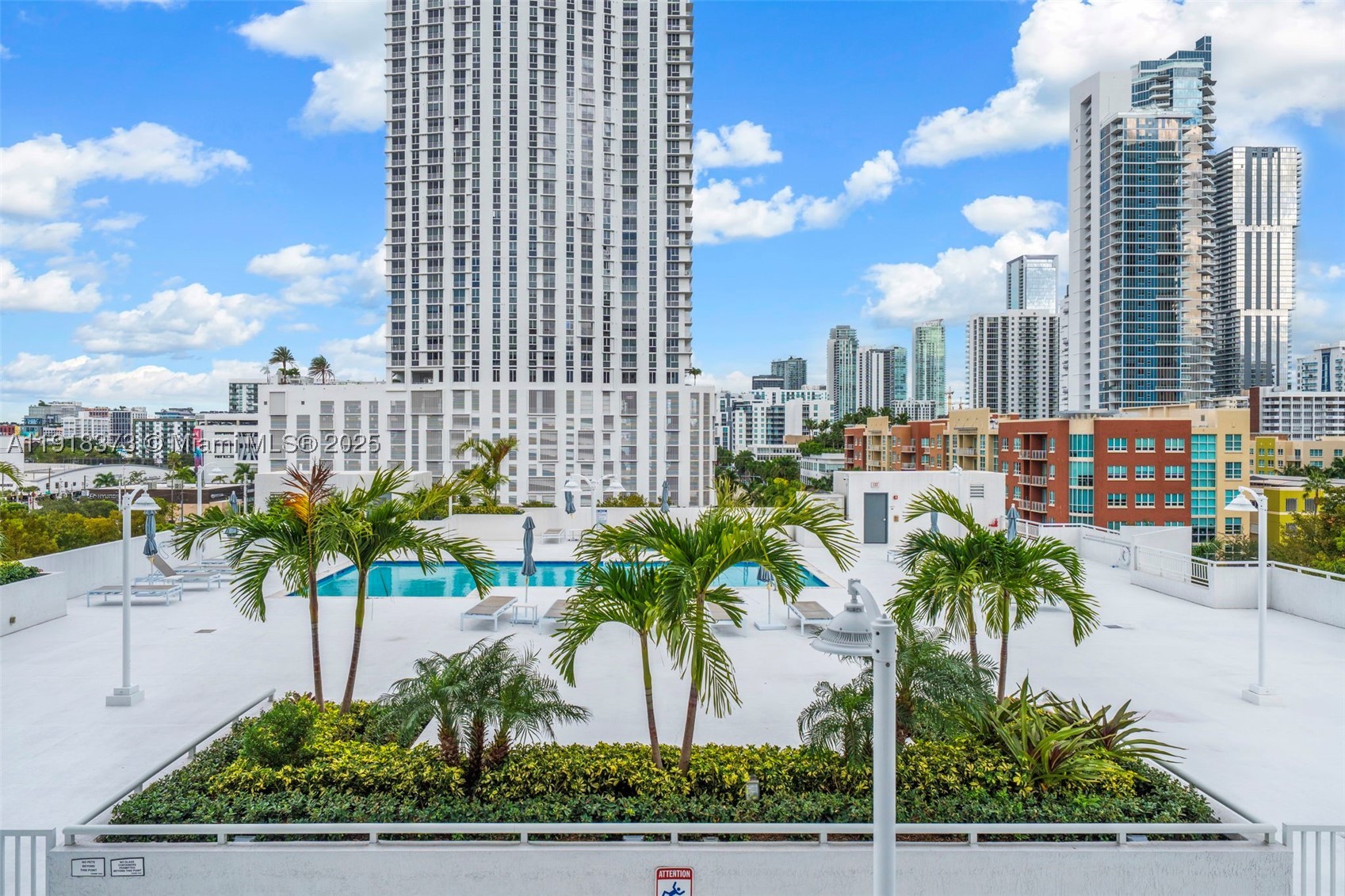 Miami photo 3
