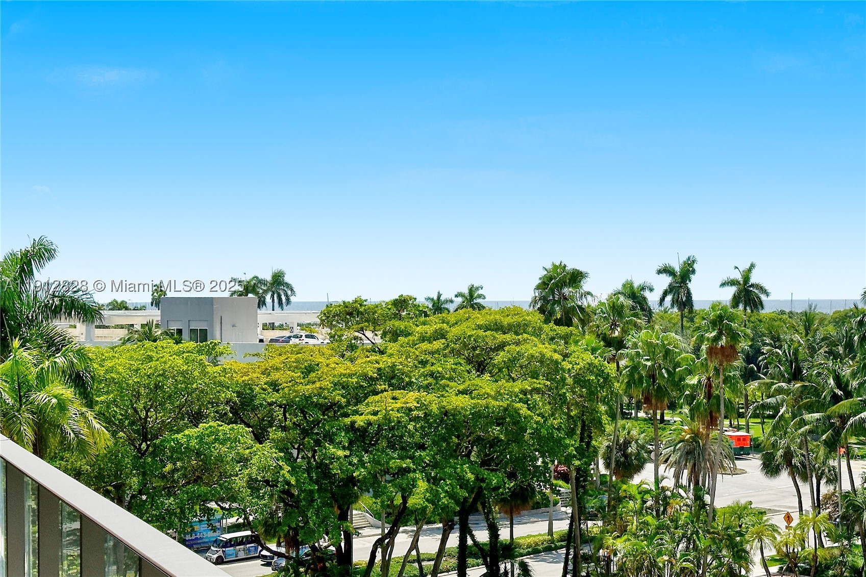 Miami photo 4
