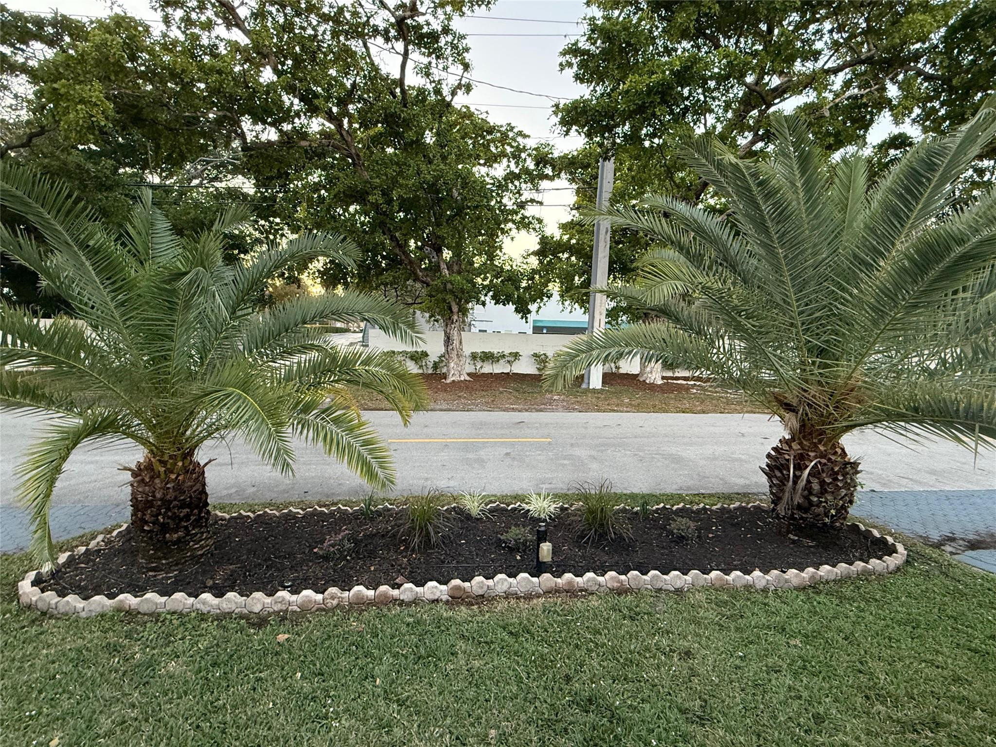 Fort Lauderdale photo 4