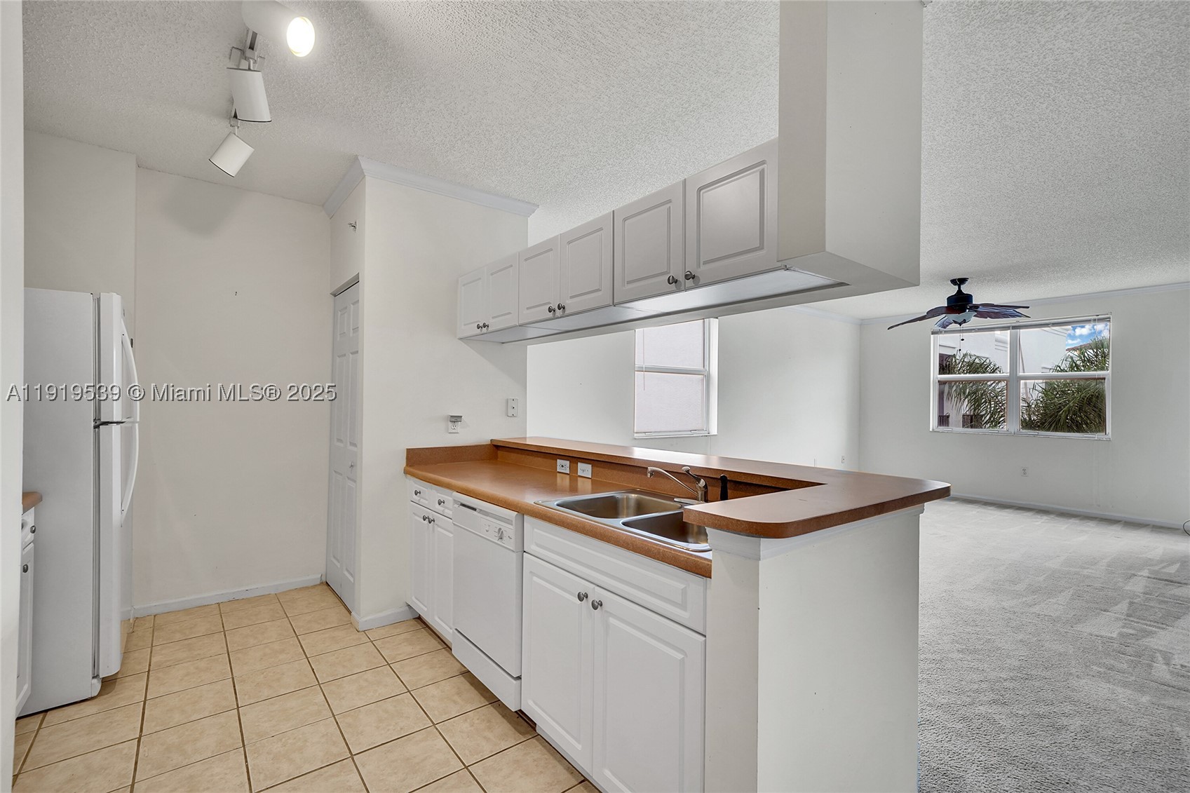Sunny Isles Beach photo 5