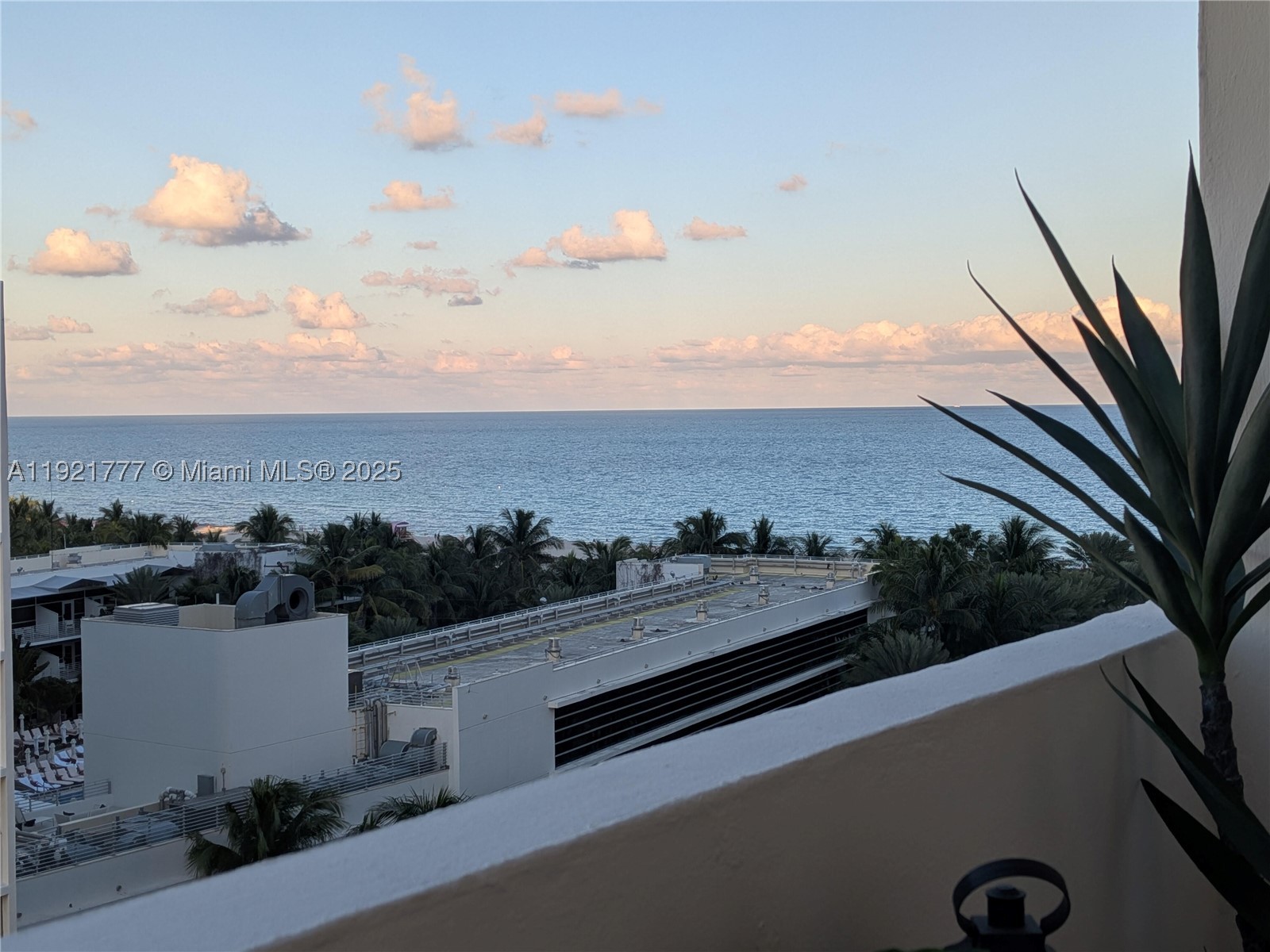 Miami Beach photo 3