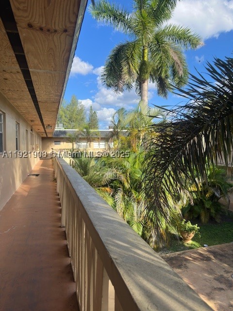Miami photo 5