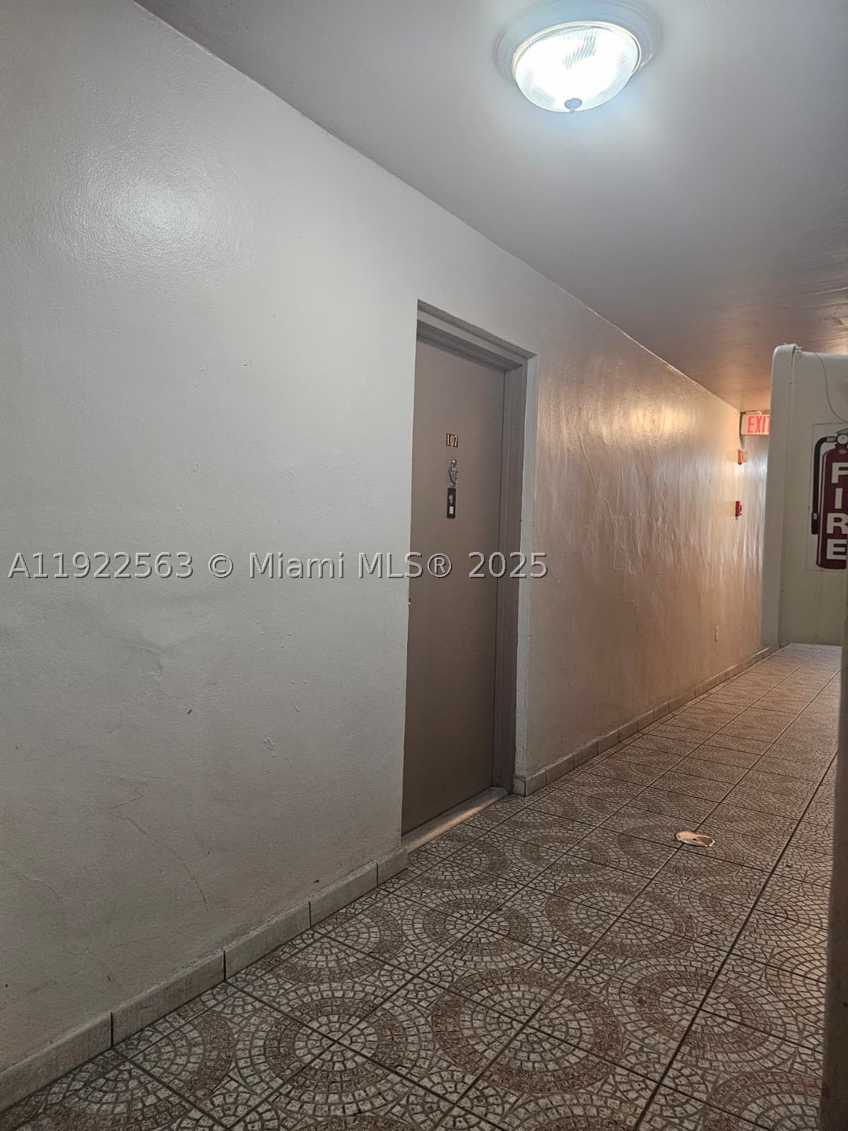 Miami photo 4