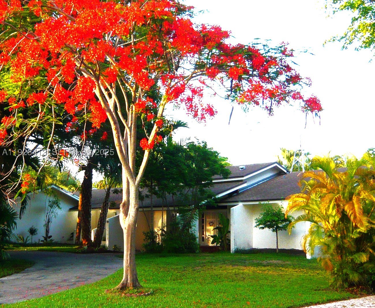 Palmetto Bay photo 1