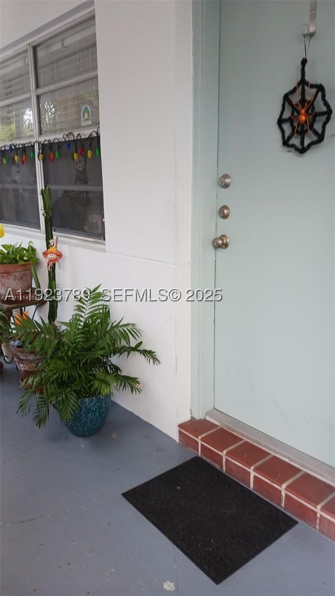 Miami photo 2