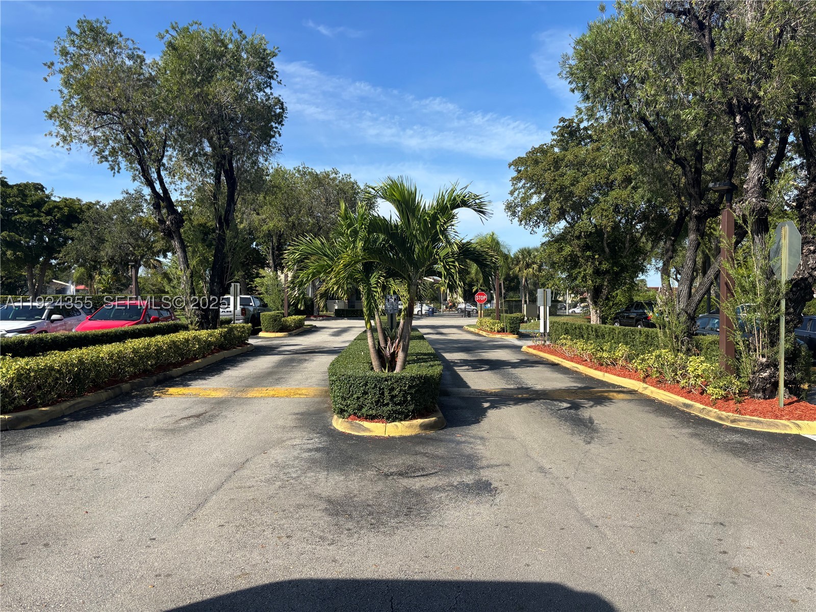 Miami photo 2