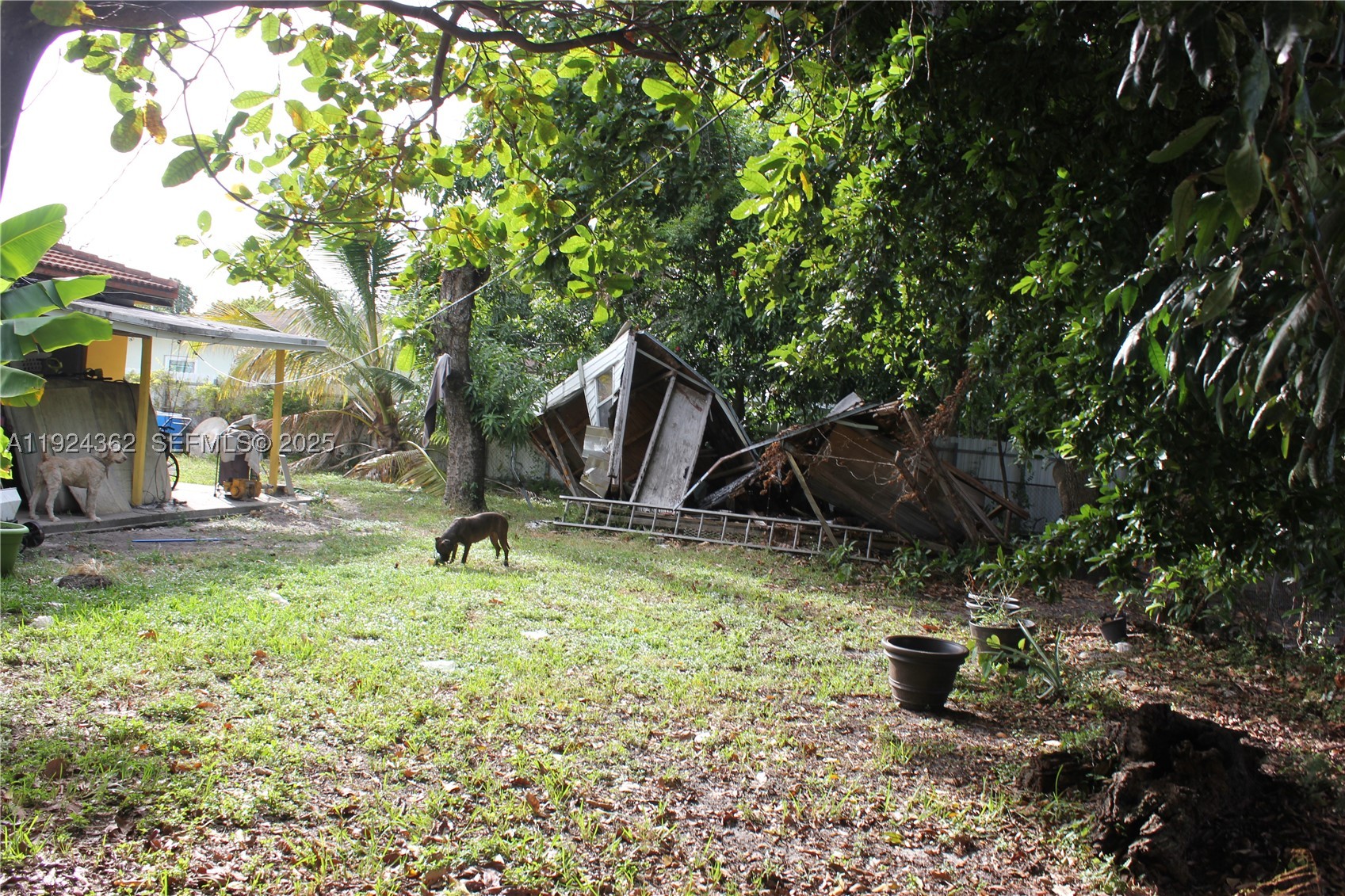 Miami photo 5