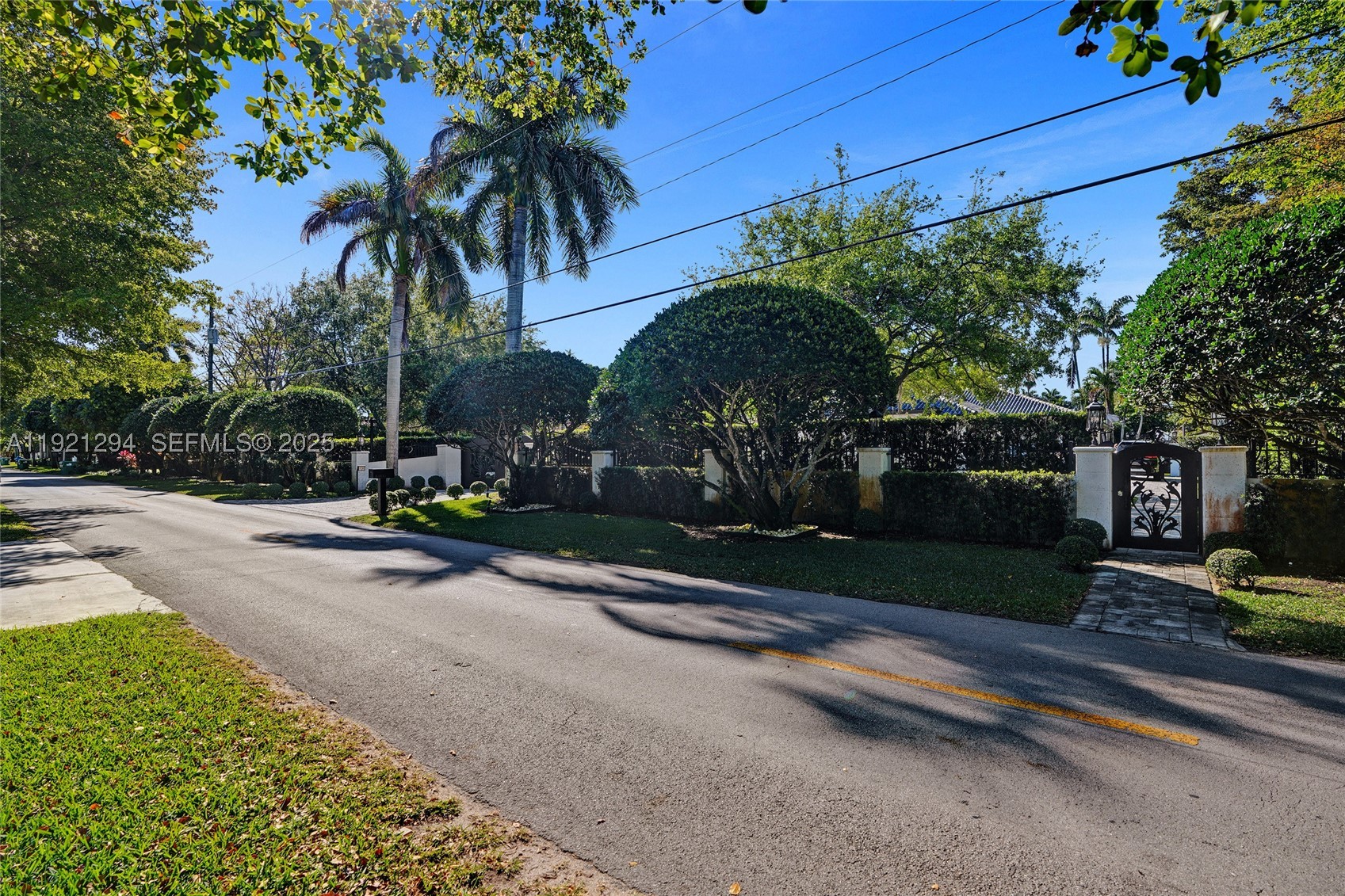 Miami photo 3