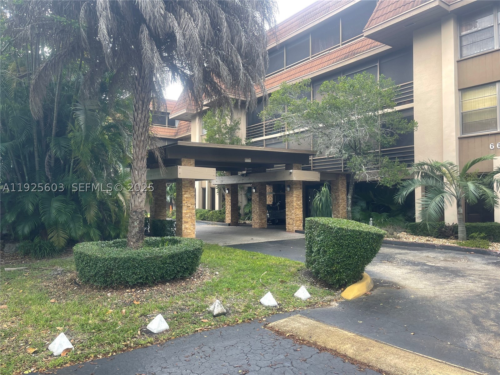 Miami photo 3