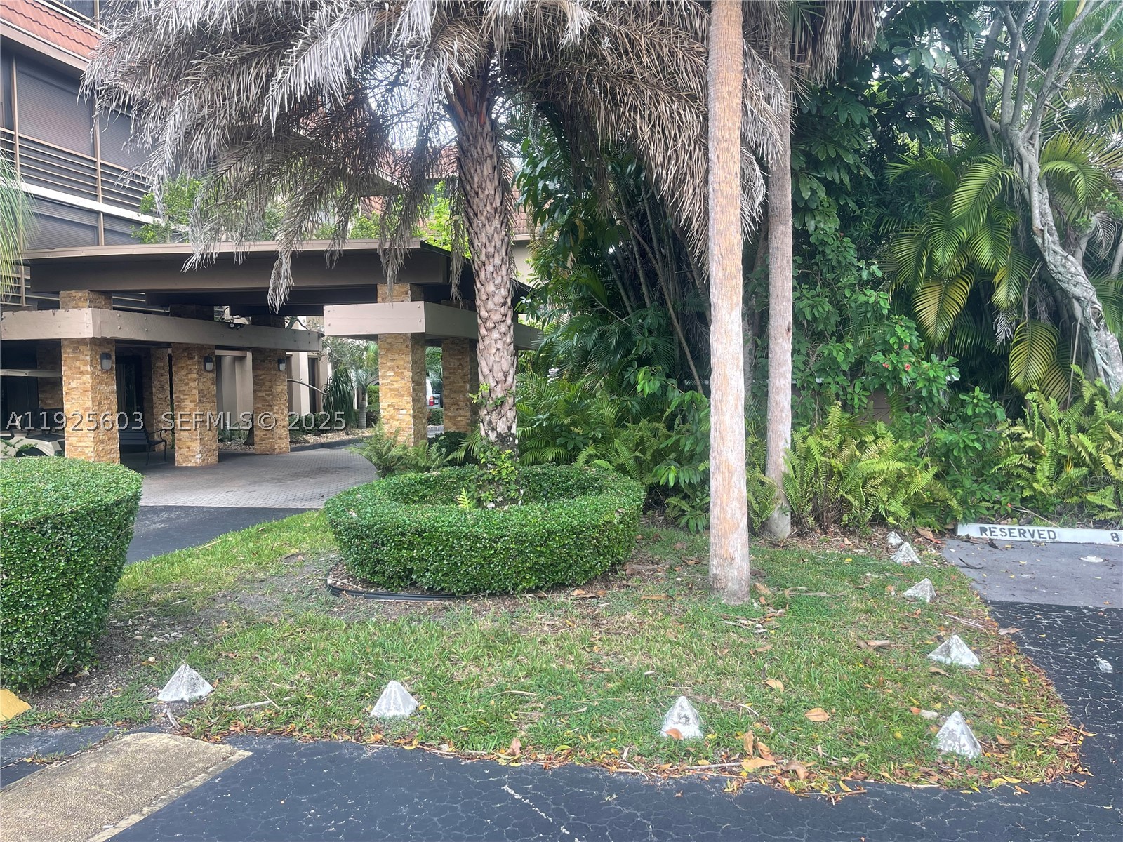 Miami photo 5