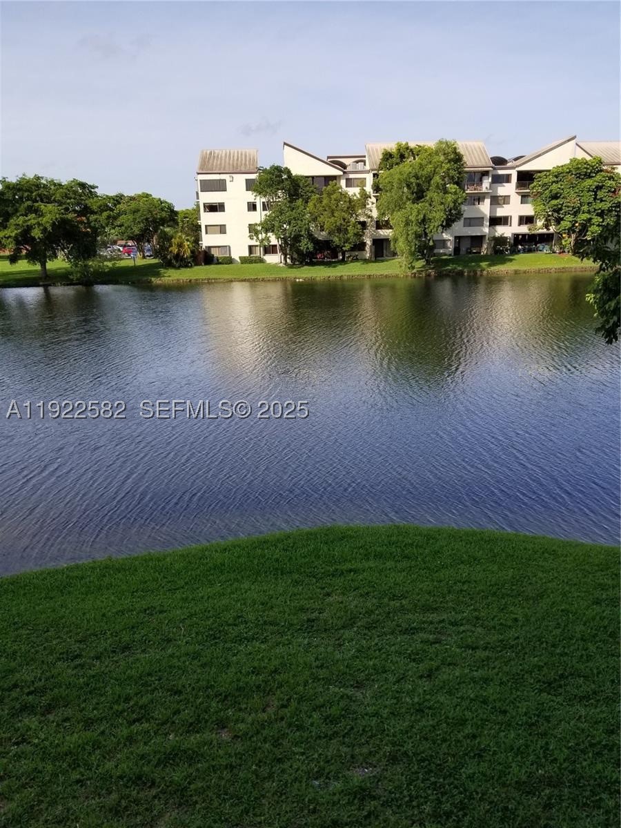 Miami photo 1