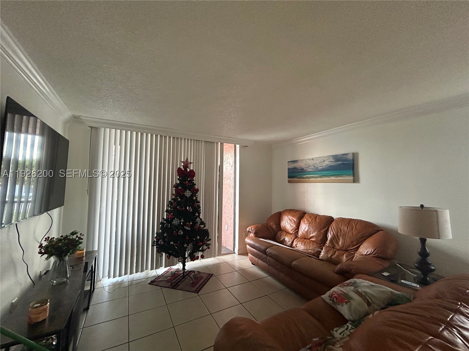 Miami photo 2