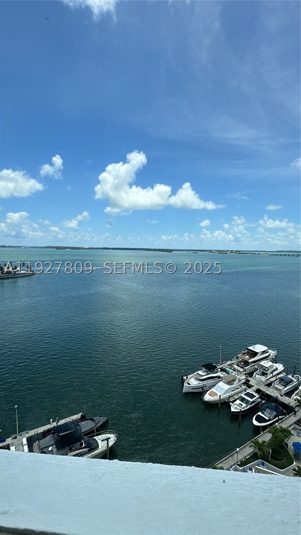 Miami photo 2