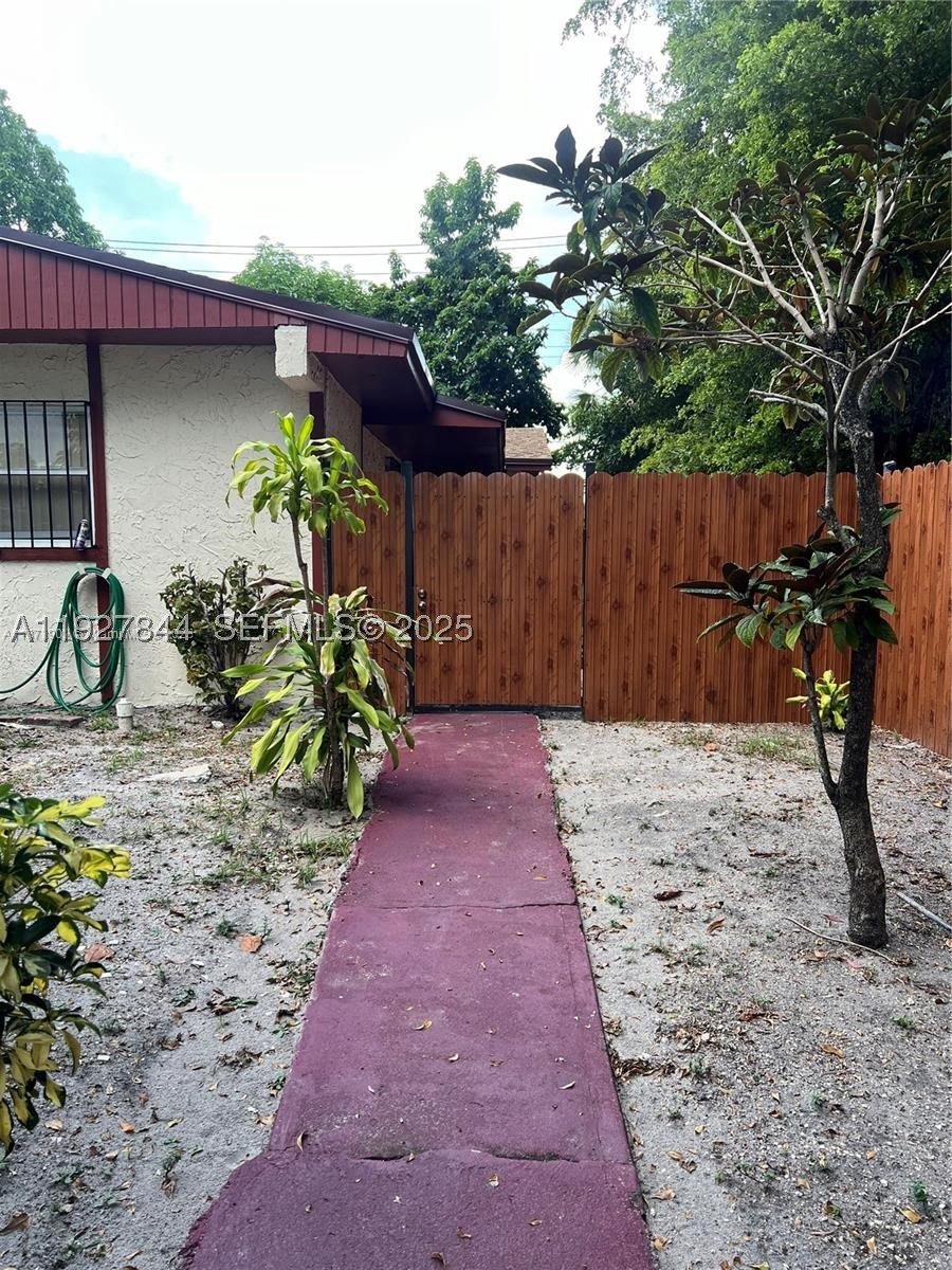 Miami photo 3