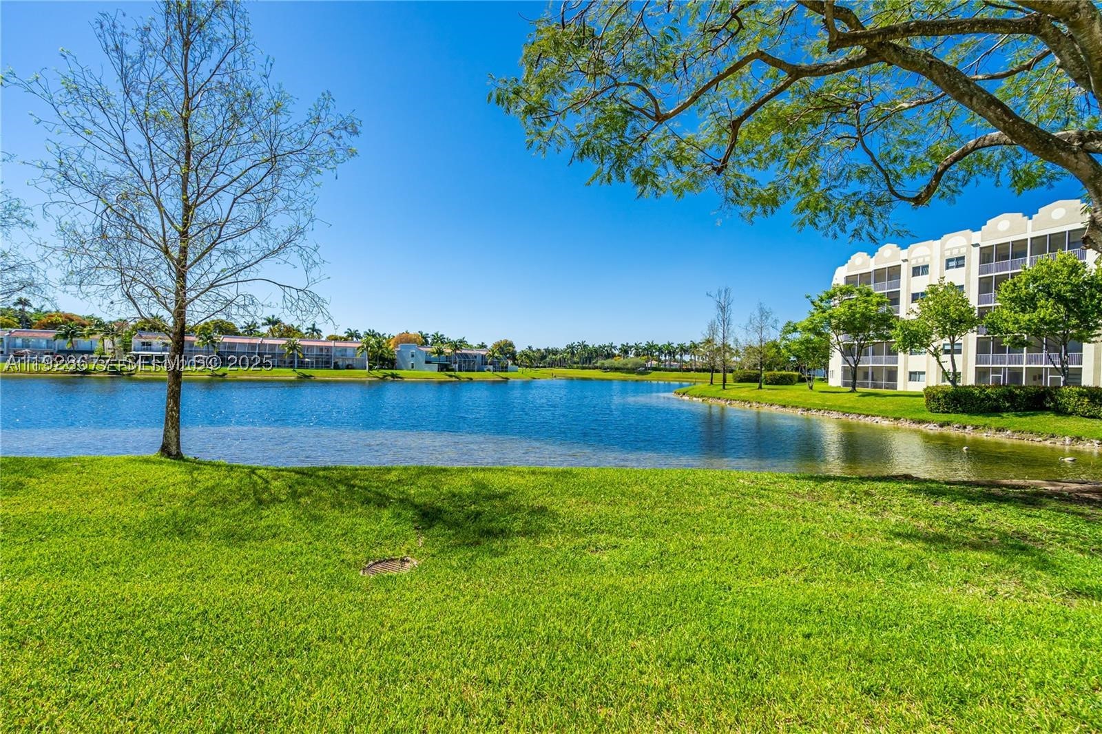 Doral photo 3