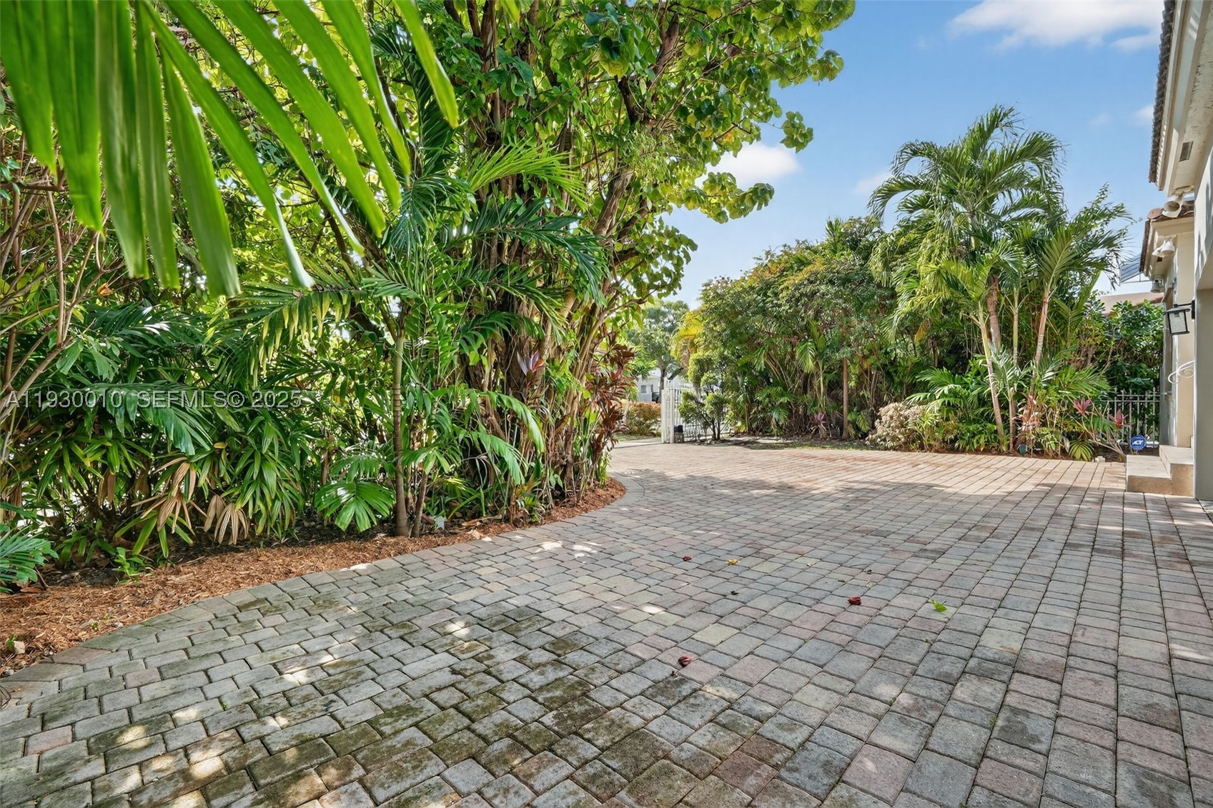 Miami photo 4