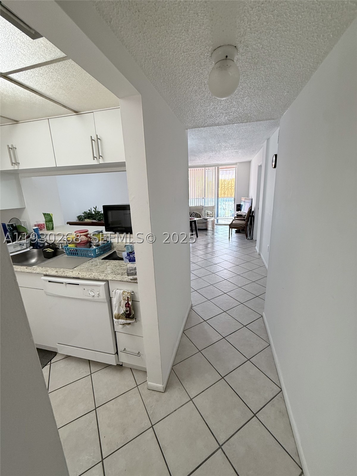 Miami photo 5
