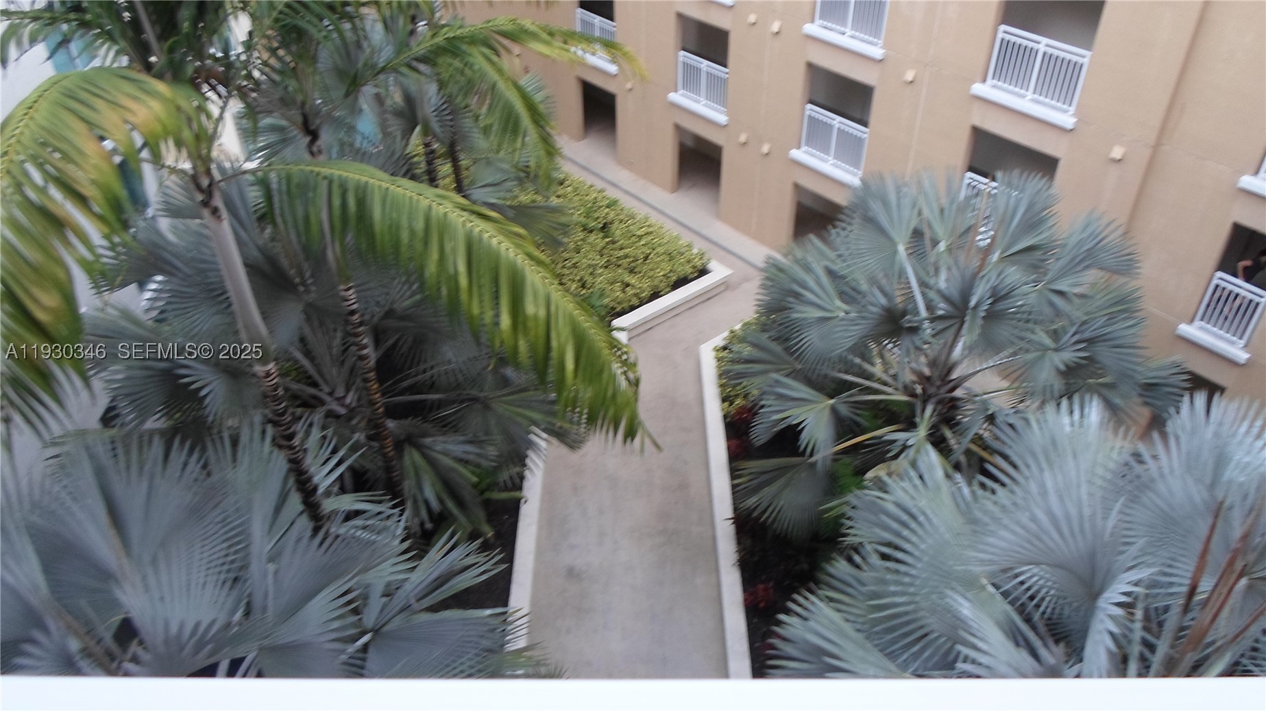 Miami photo 5