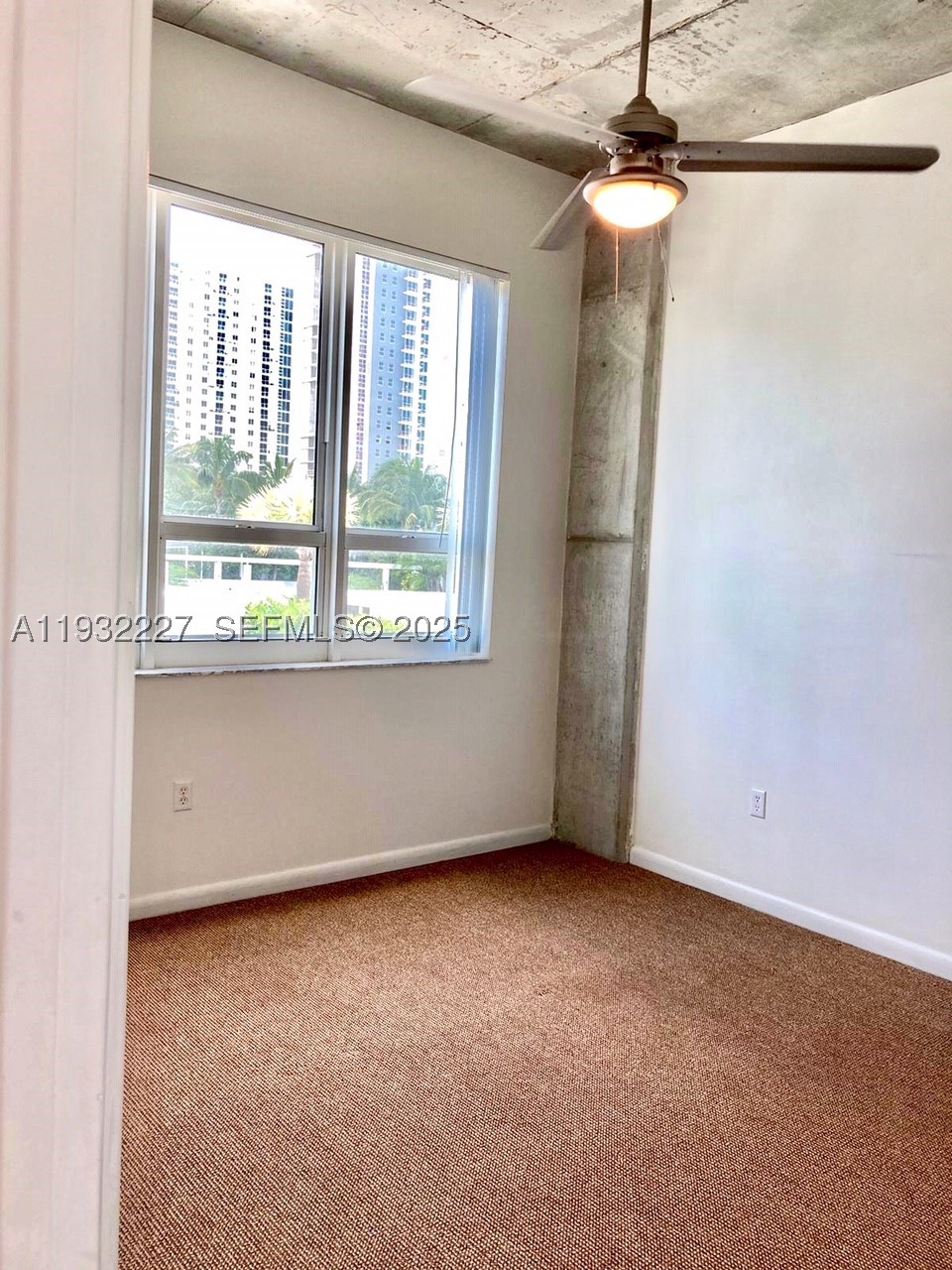 Miami photo 4