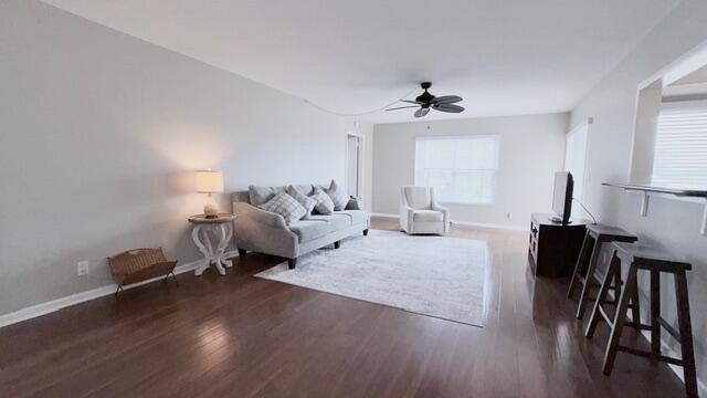 Palm Beach Gardens photo 3