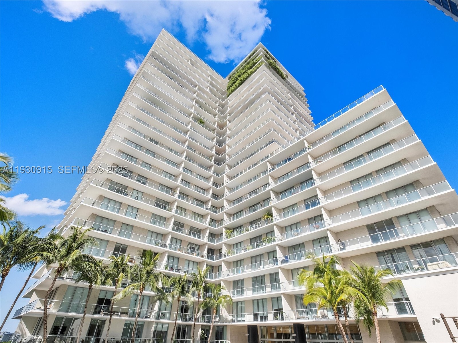 Miami photo 2