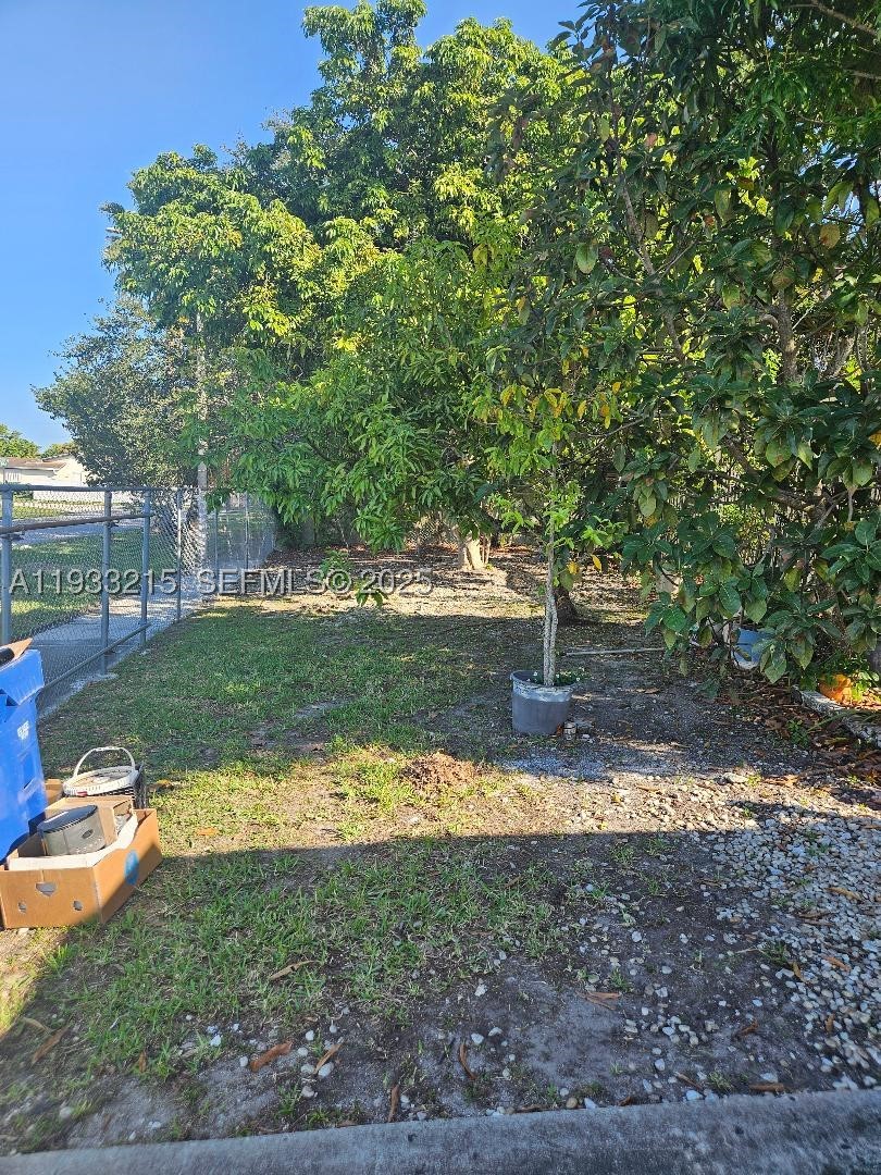 Miami photo 4