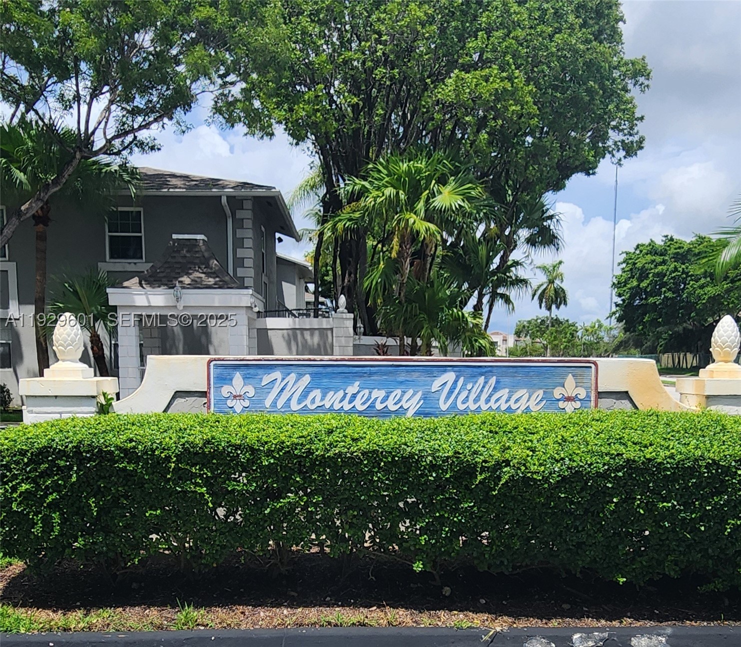 Miami photo 1