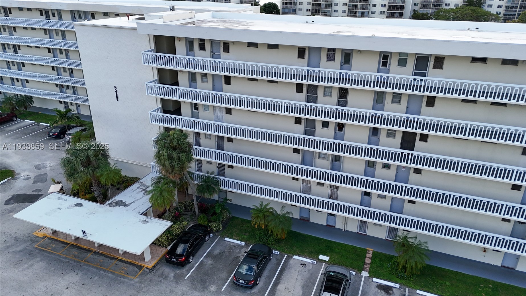Aventura photo 3