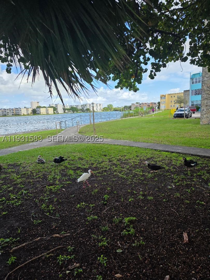 Miami photo 1