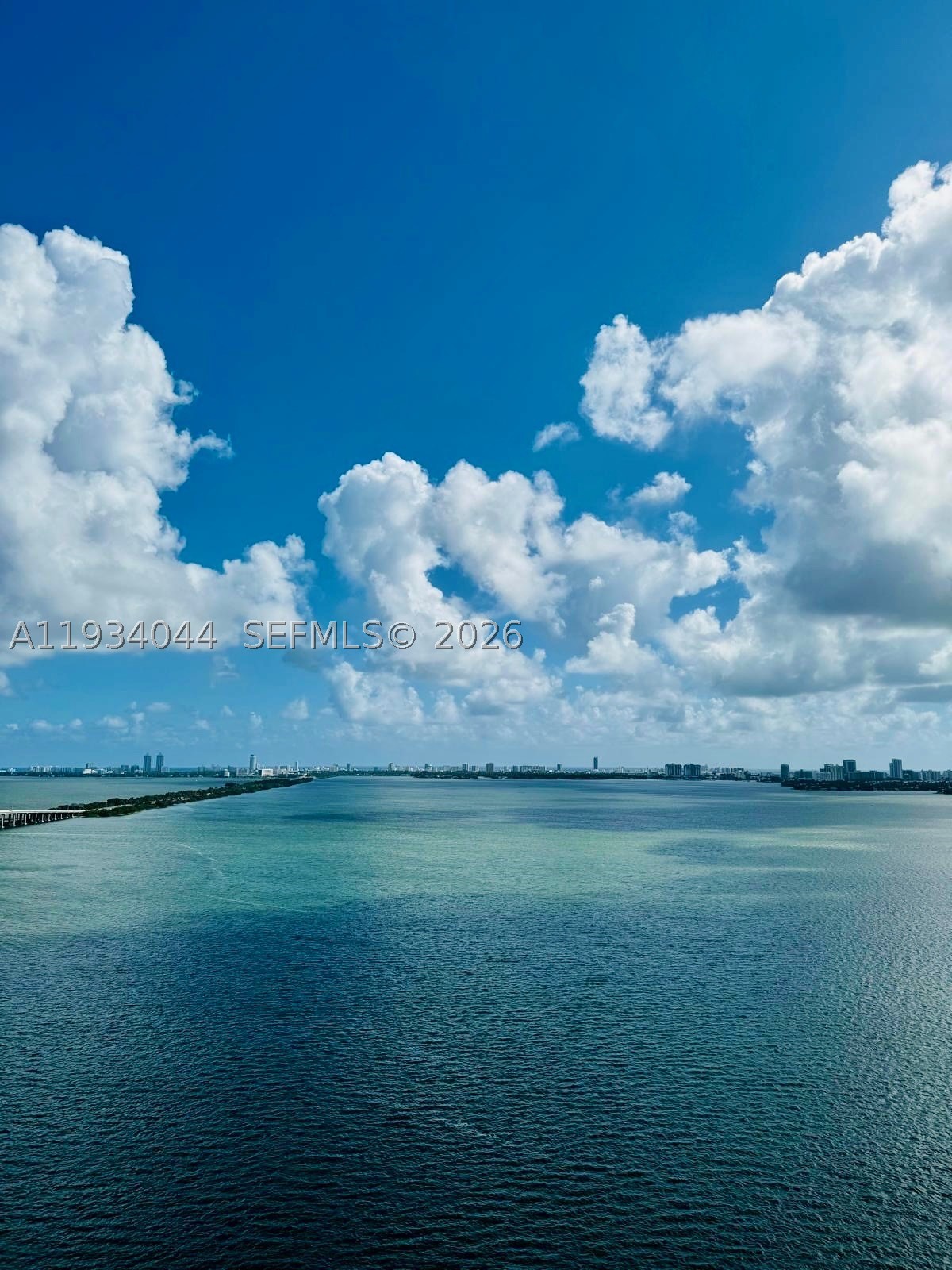 Miami photo 2