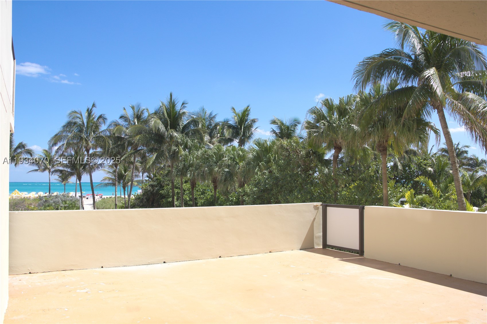 Miami Beach photo 4