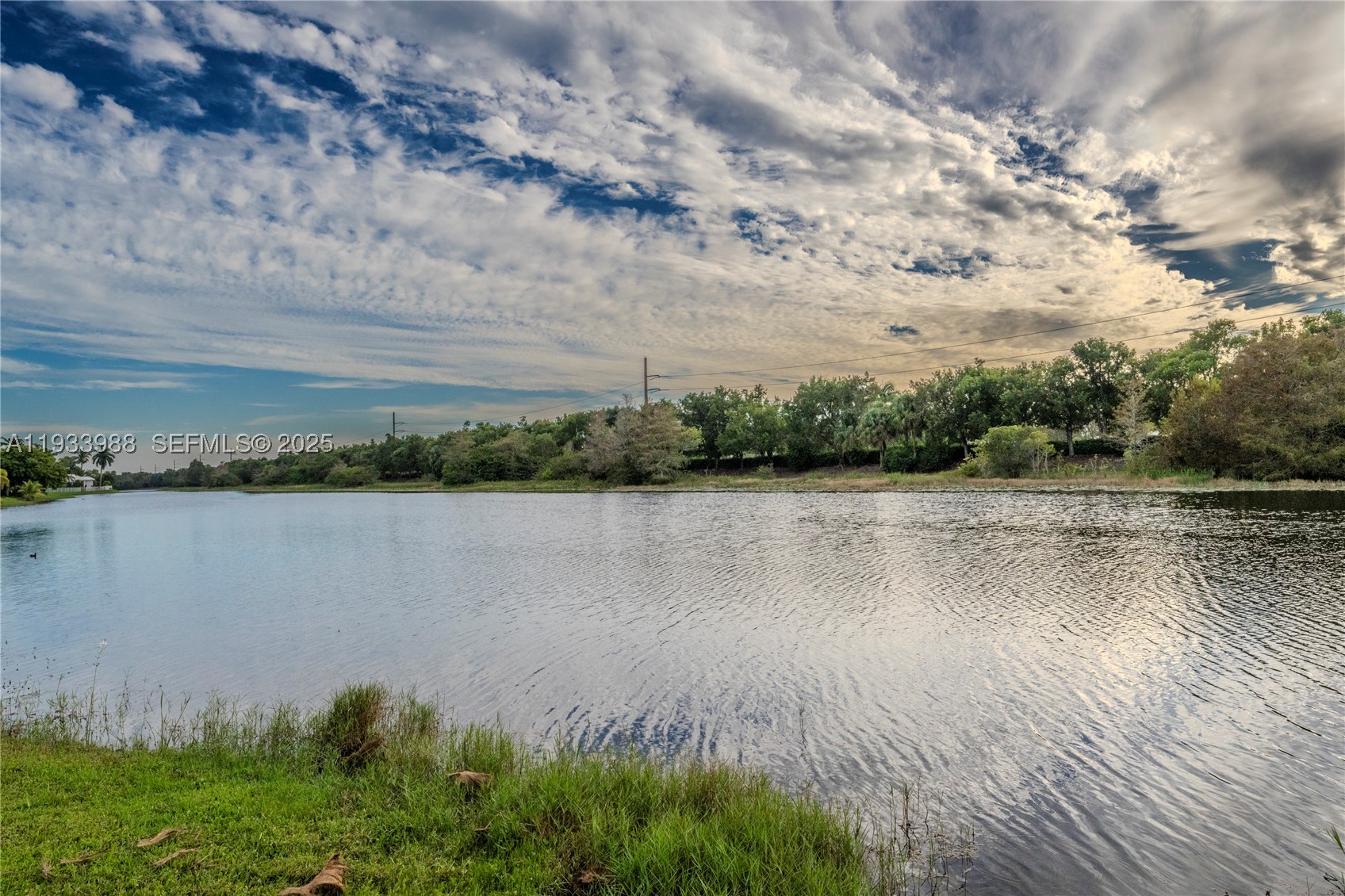 Weston photo 1