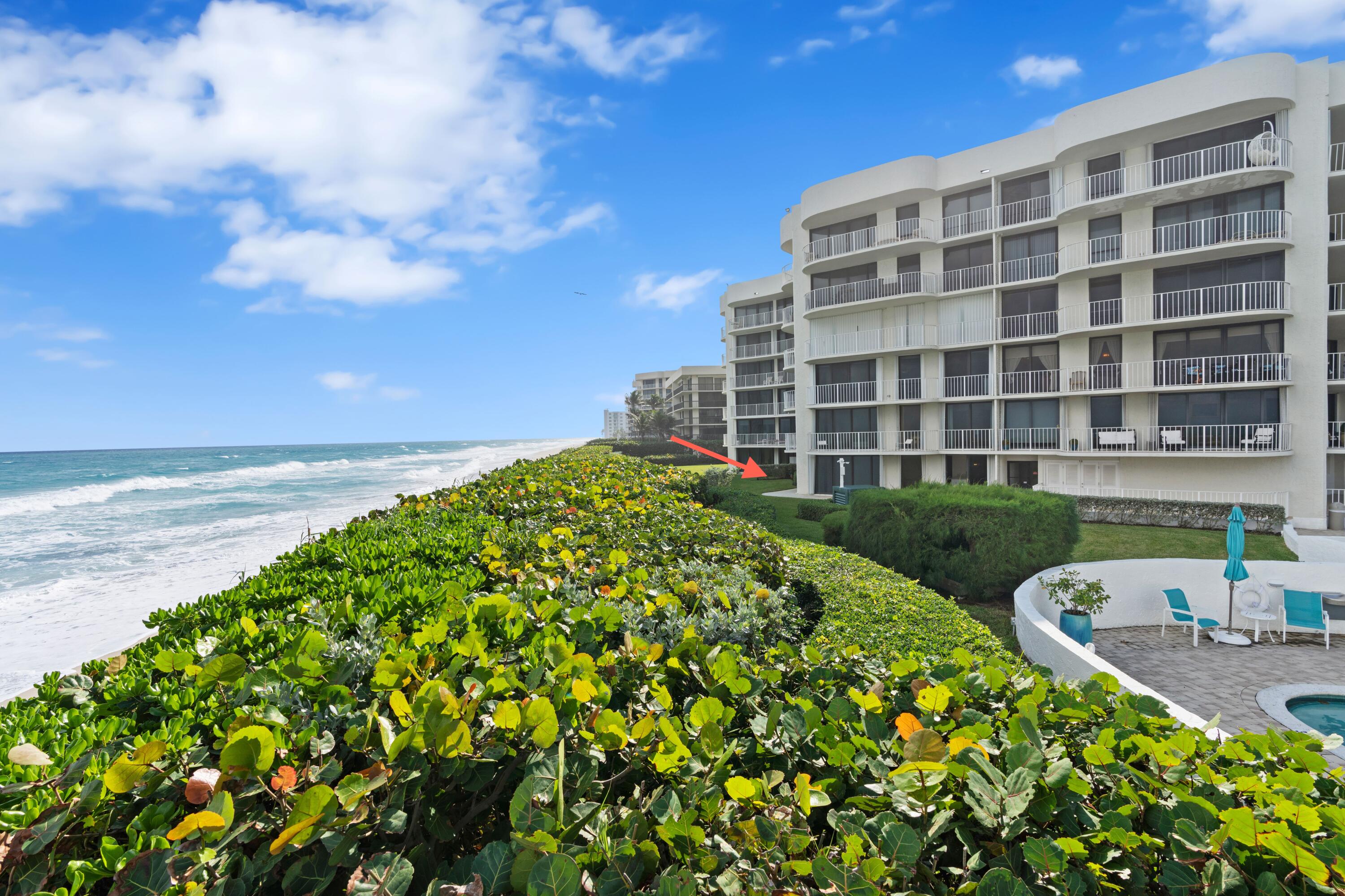 Palm Beach photo 4