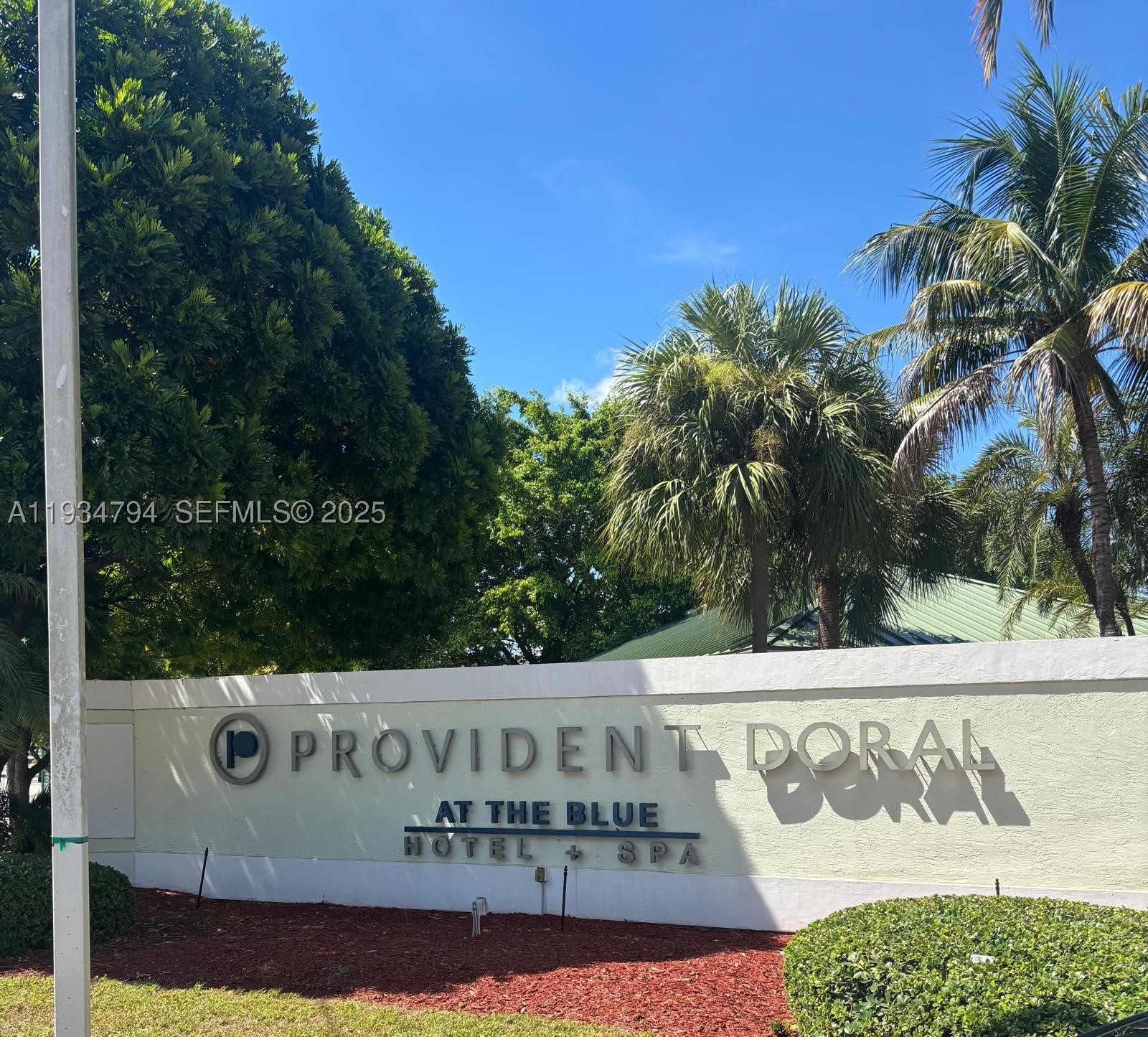 Doral photo 1