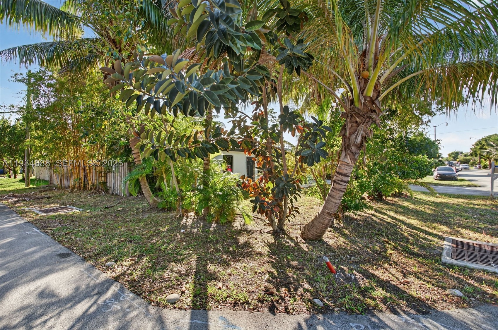 Pompano Beach photo 4
