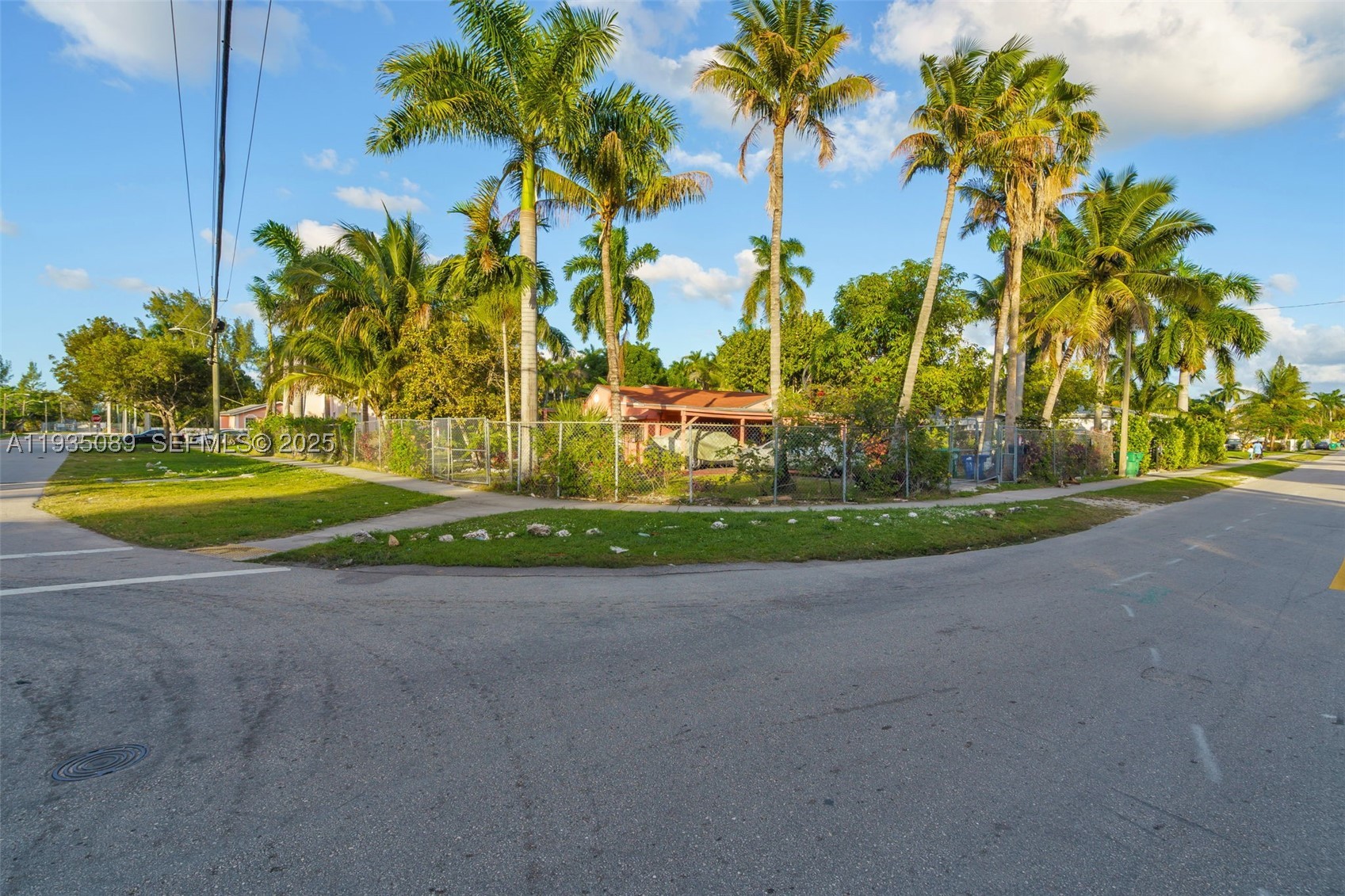 Miami photo 1