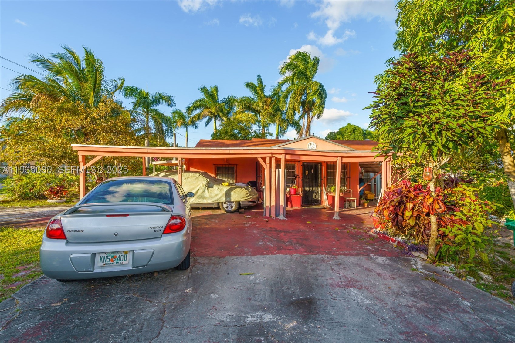 Miami photo 5