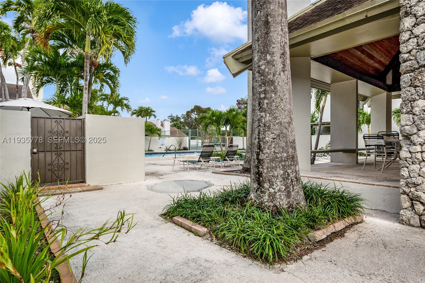 South Miami photo 3