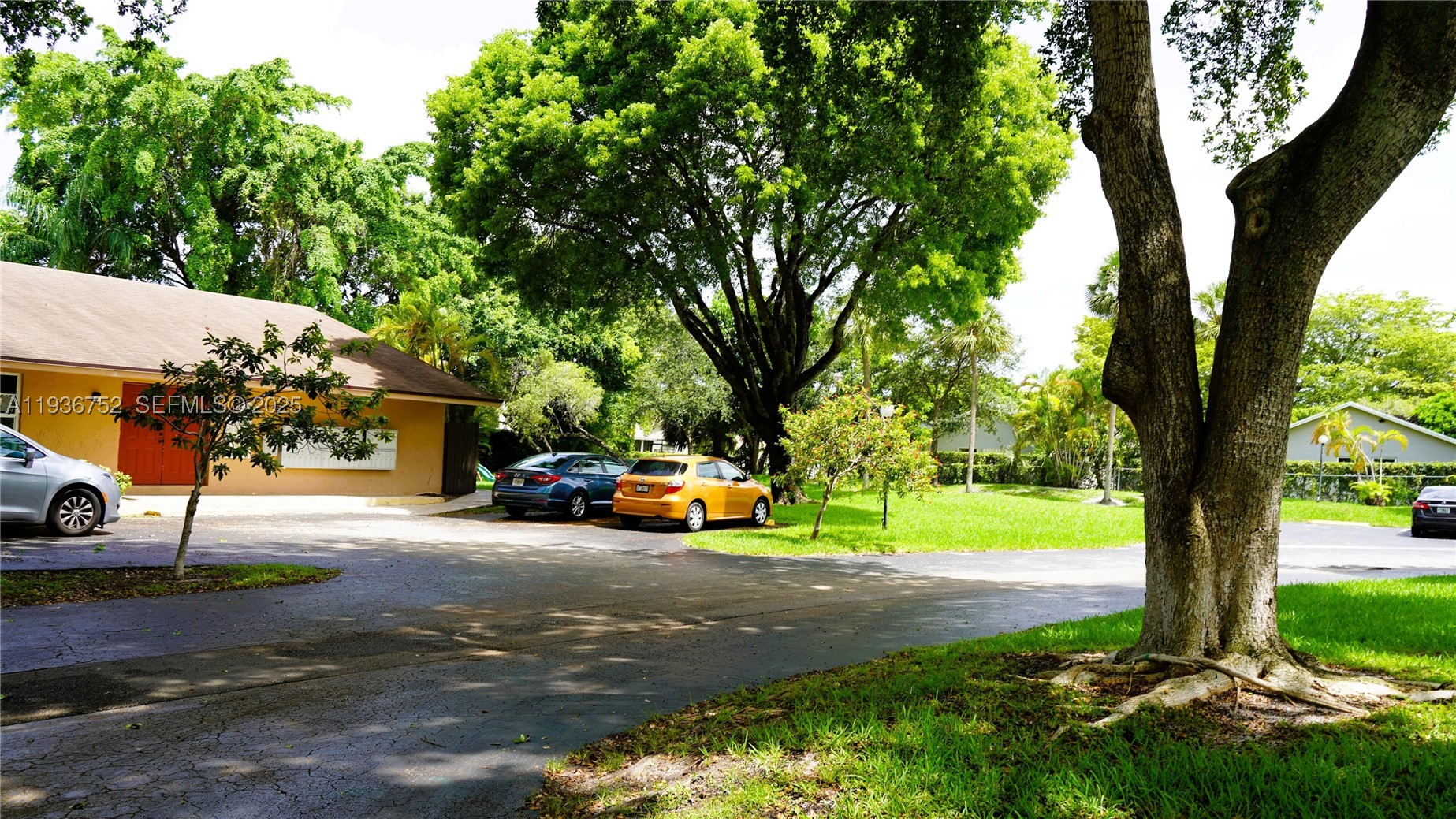 Davie photo 4