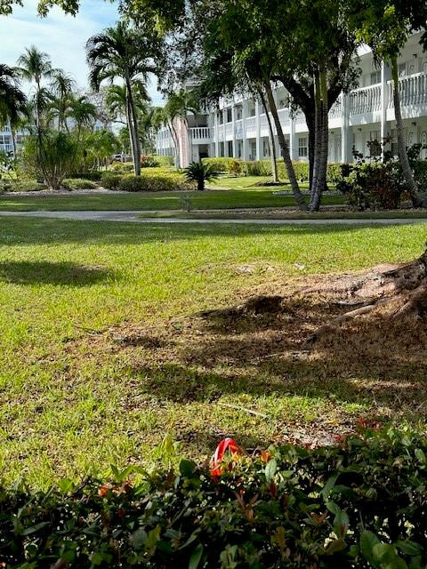 Fort Lauderdale photo 3