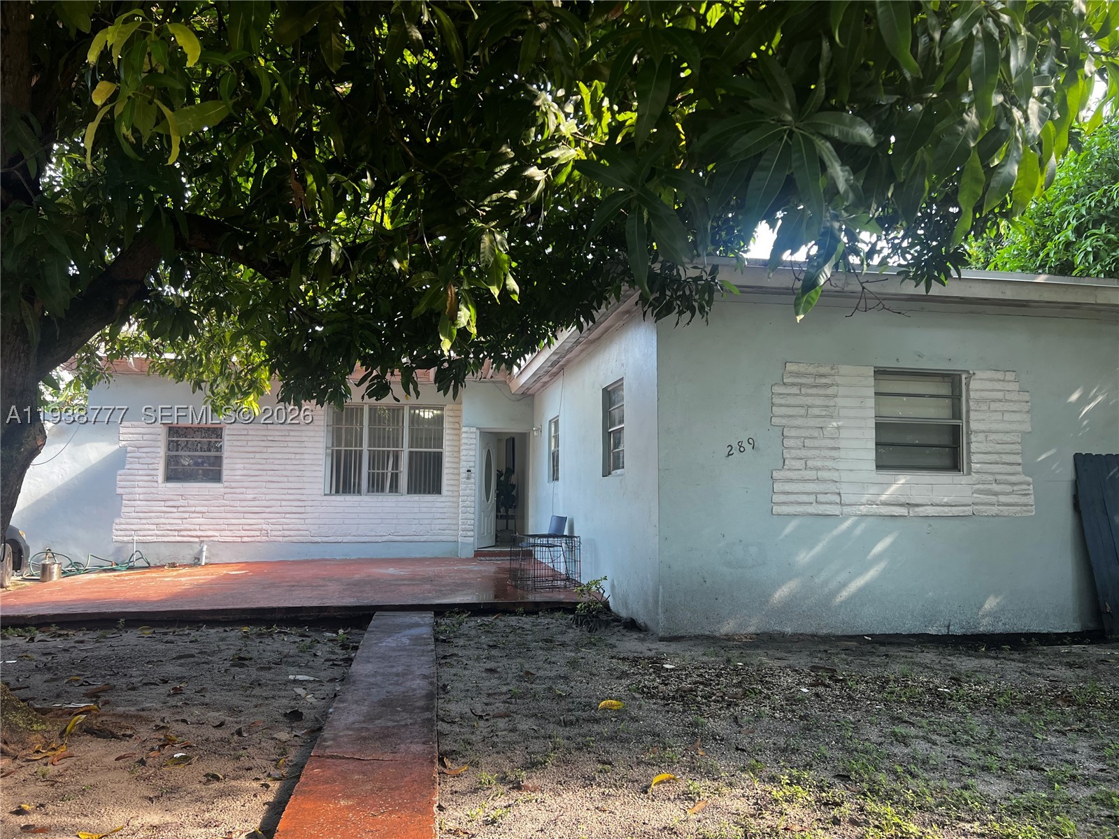 Miami photo 5