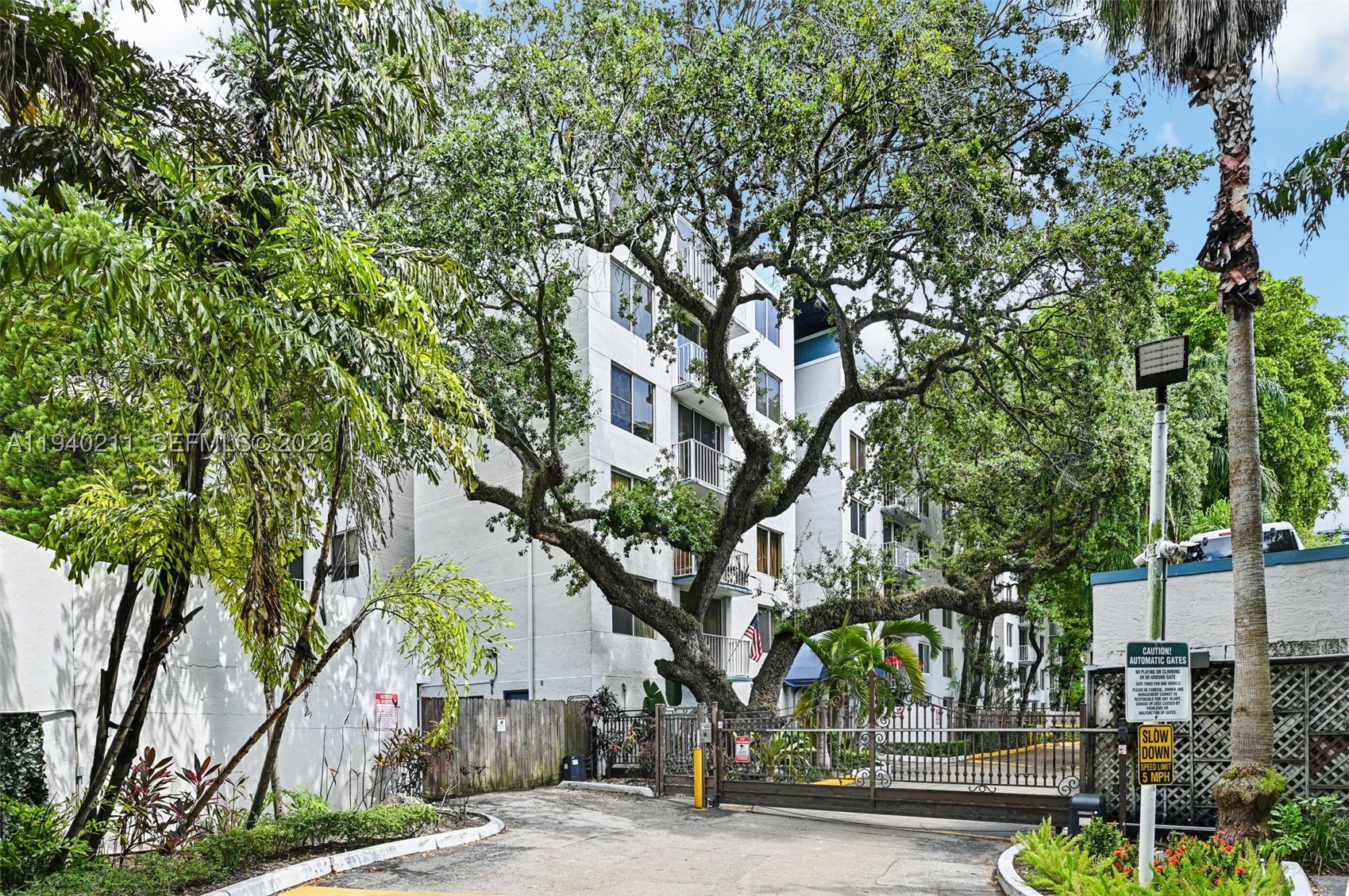 Miami photo 3