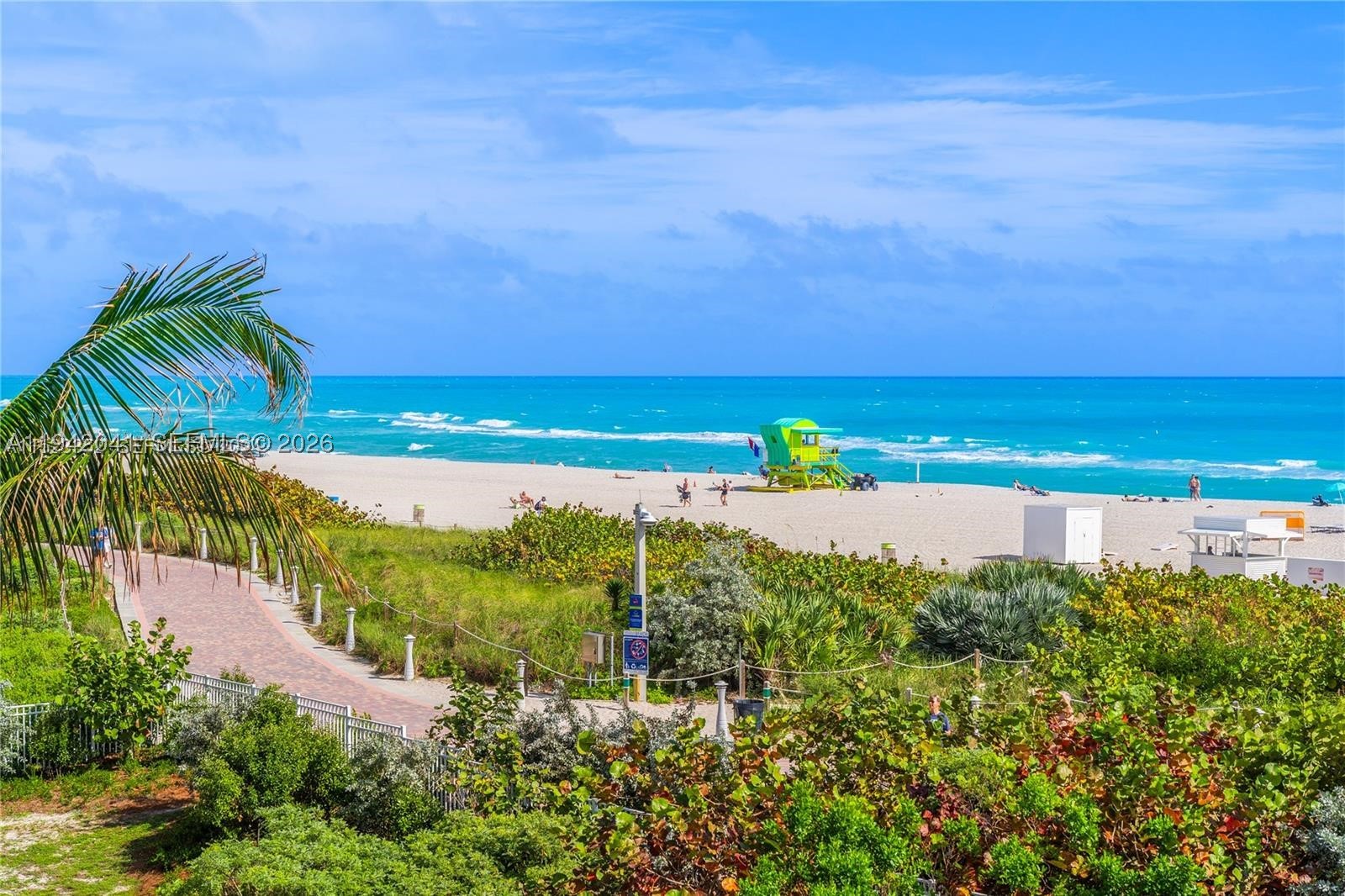 Miami Beach photo 4