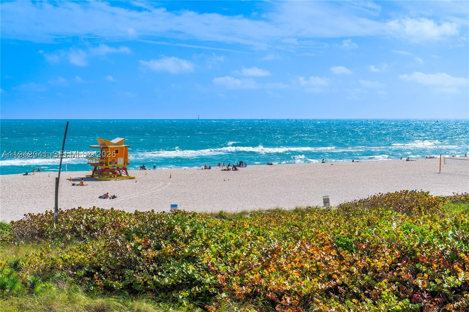 Miami Beach photo 5